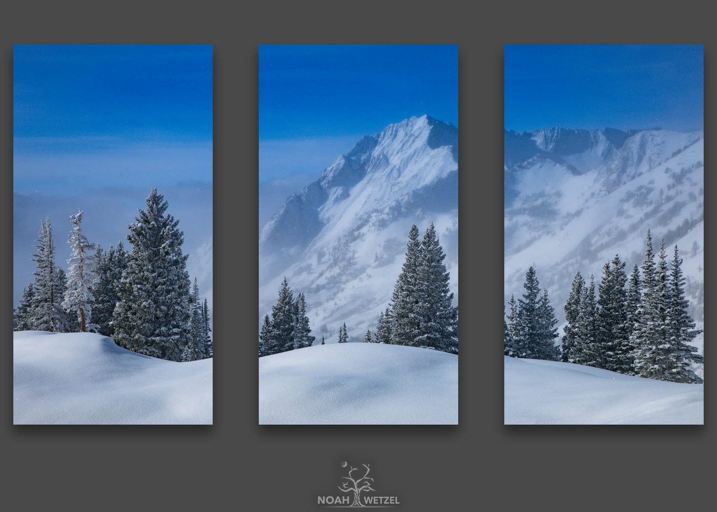 Grizzly Glitter Freeze - Triptych