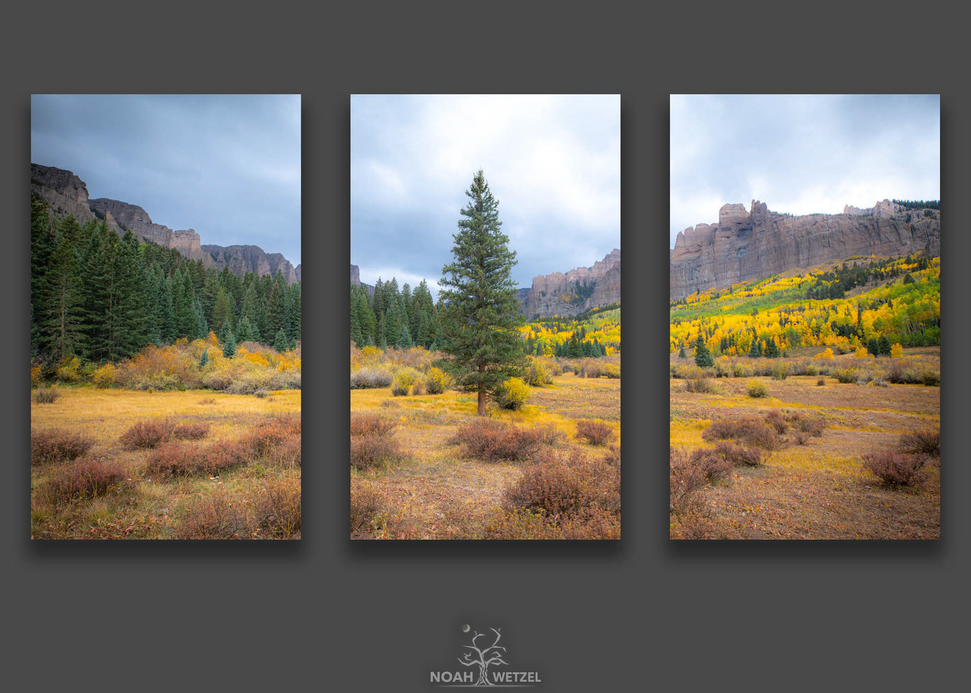 Meadow of Symmetry - Triptych