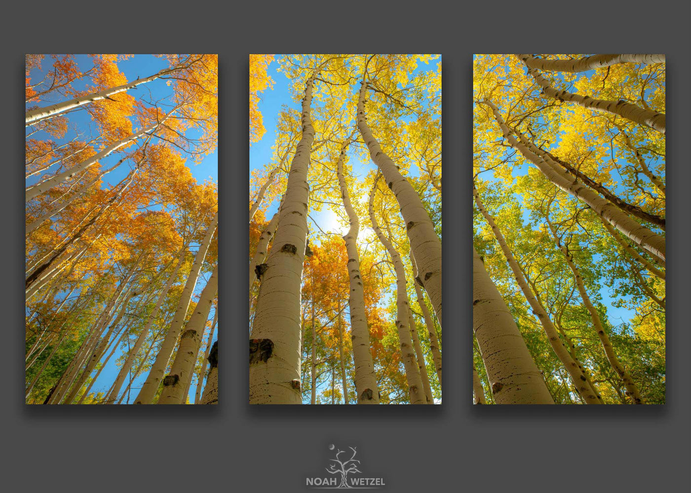 Palette of Autumn - Triptych