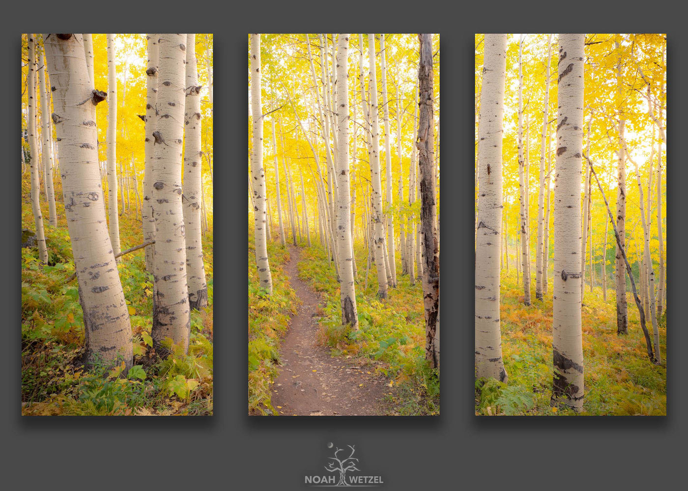 Pot of Gold - Triptych