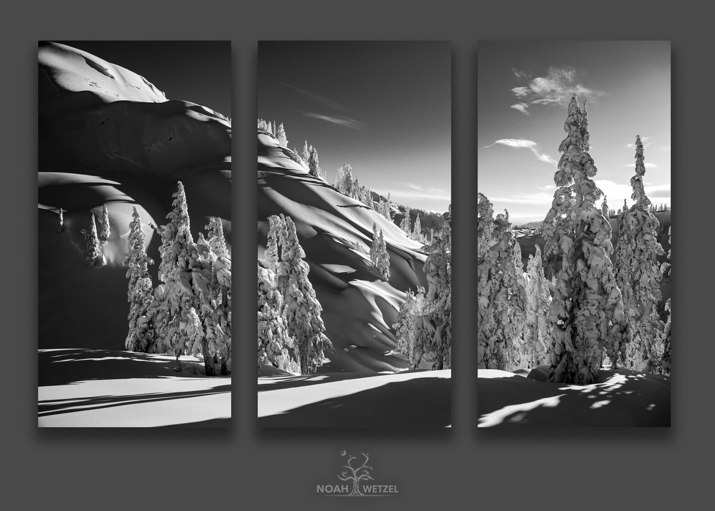 Snow Ghost Winter - Triptych