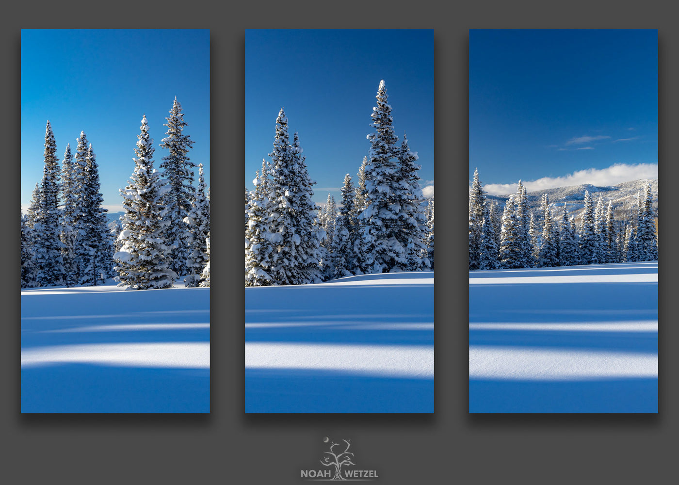 Untouched Winter - Triptych
