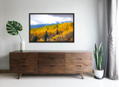 Balanced Autumn II