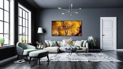 Cottonwood Autumn Glow