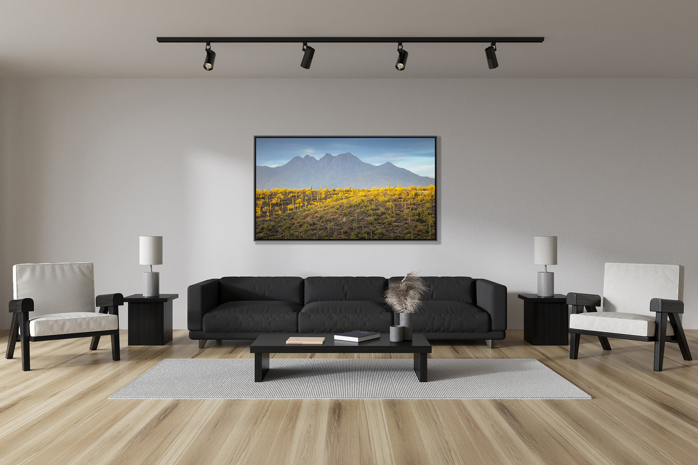 Sonoran Desert Evening